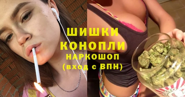 крисы Горно-Алтайск