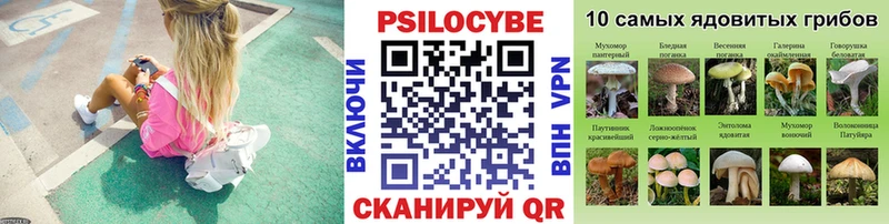 где продают наркотики  Жуковка  кракен зеркало  маркетплейс Telegram  Псилоцибиновые грибы MAGIC MUSHROOMS 